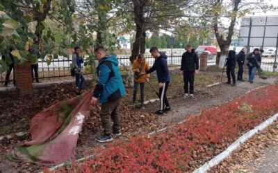 Загальноколеджівська толока